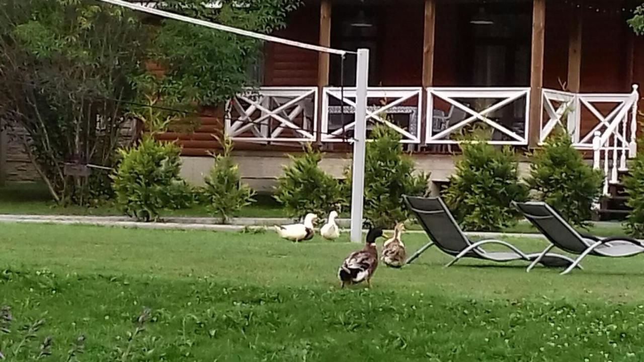 Дома для отпуска Домик у пруда. SPA Усадьба Пигасово-6